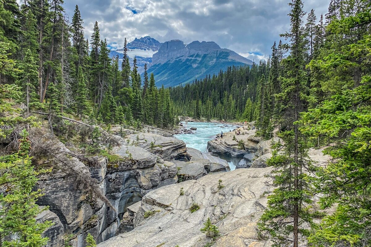 A bright blue river rushes through a grey rocky canyon. There are pine trees surrounding the river banks and a back drop of mountains in the distance.