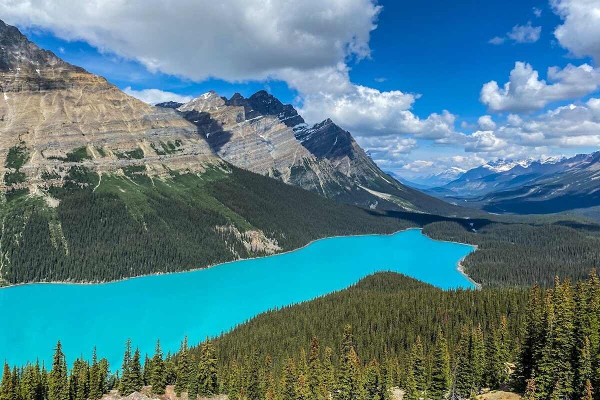 A bright blue lake shaped like a wolf is surrounded by beautiful green pine trees. There is a backdrop of dramatic jagged mountain peaks in the Canadian Rockies.