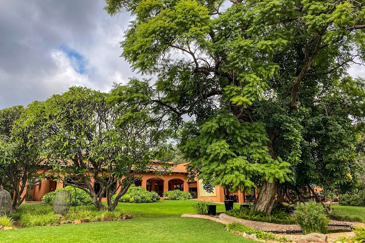 A bright orange South African safari lodge is nestled between some beautiful green trees. There is a bright green lawn in front of the lodge.