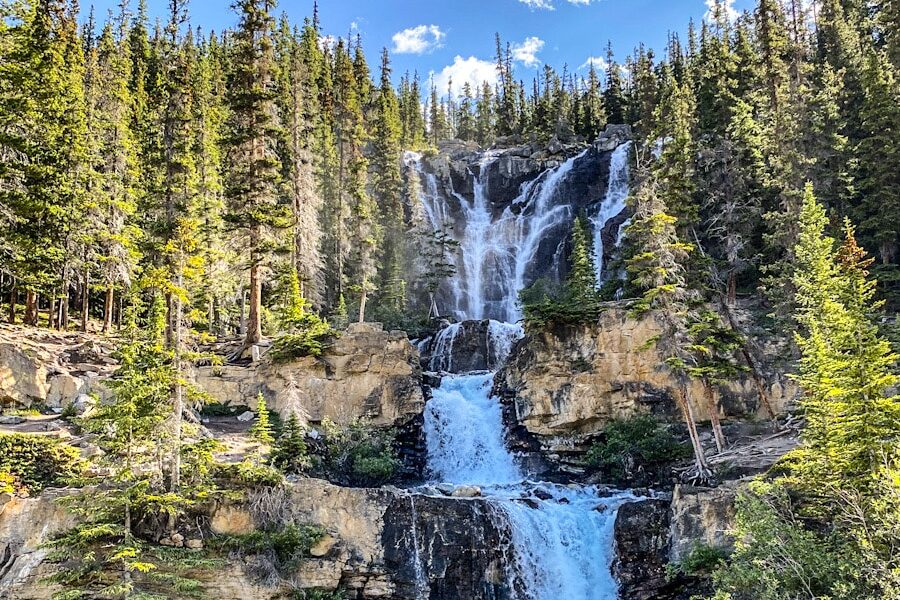 A beautiful rushing waterfalls tumbles down different layers the side of a mountain on the road side of the Icefields Parkway. There are pine trees surrounding the waterfall.