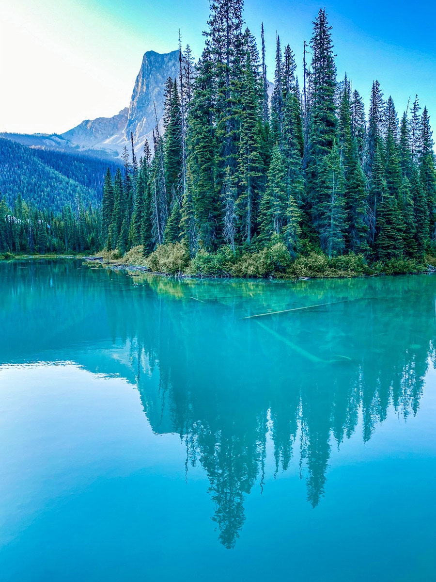 Some tall pine trees in Canada reflect in the blue lake below them, with mountains in the background.