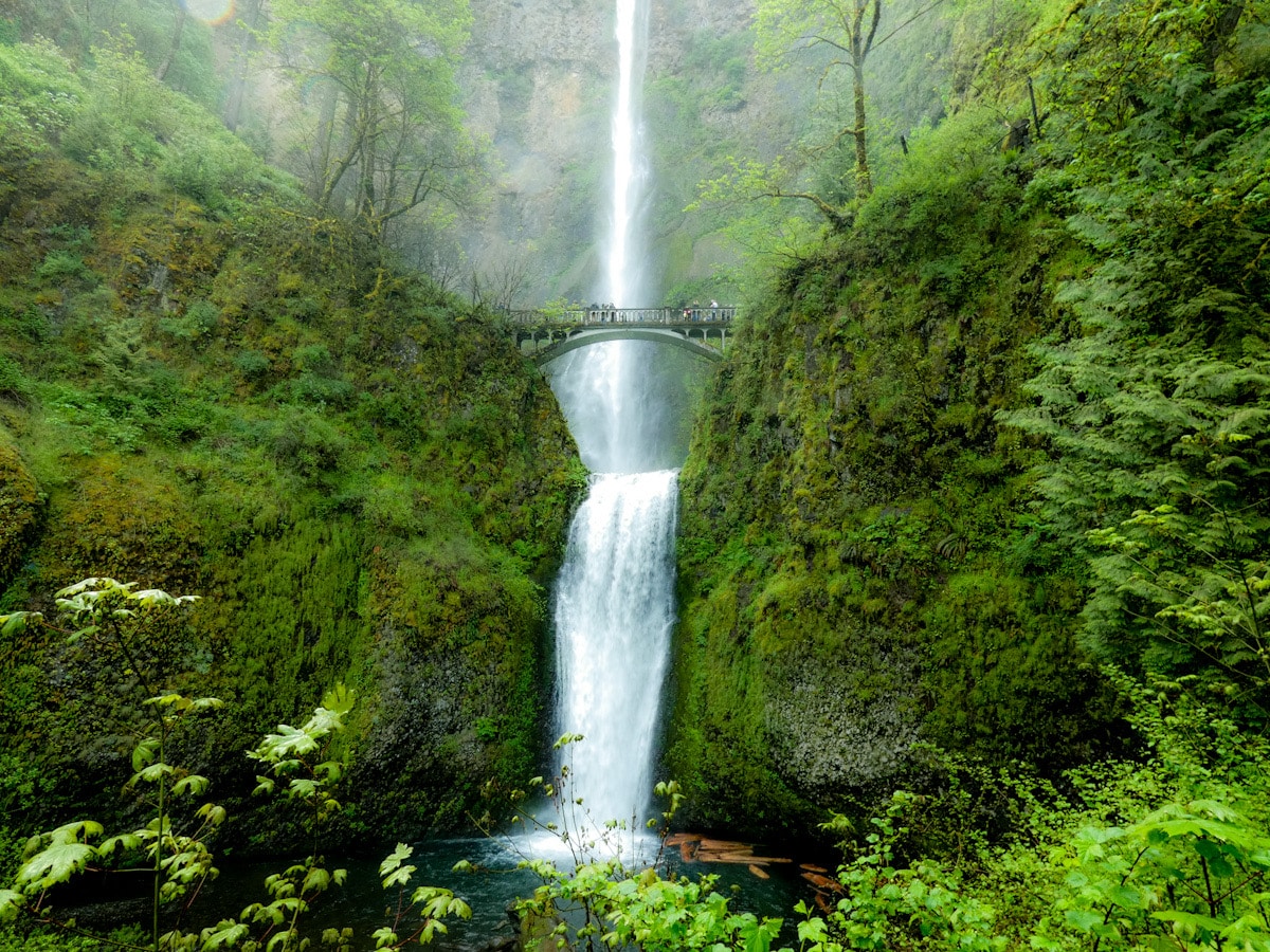 A beautiful cascading waterfall plunges down to a pool of water below amongst the green landscape. There is a bridge in the middle of the waterfall.