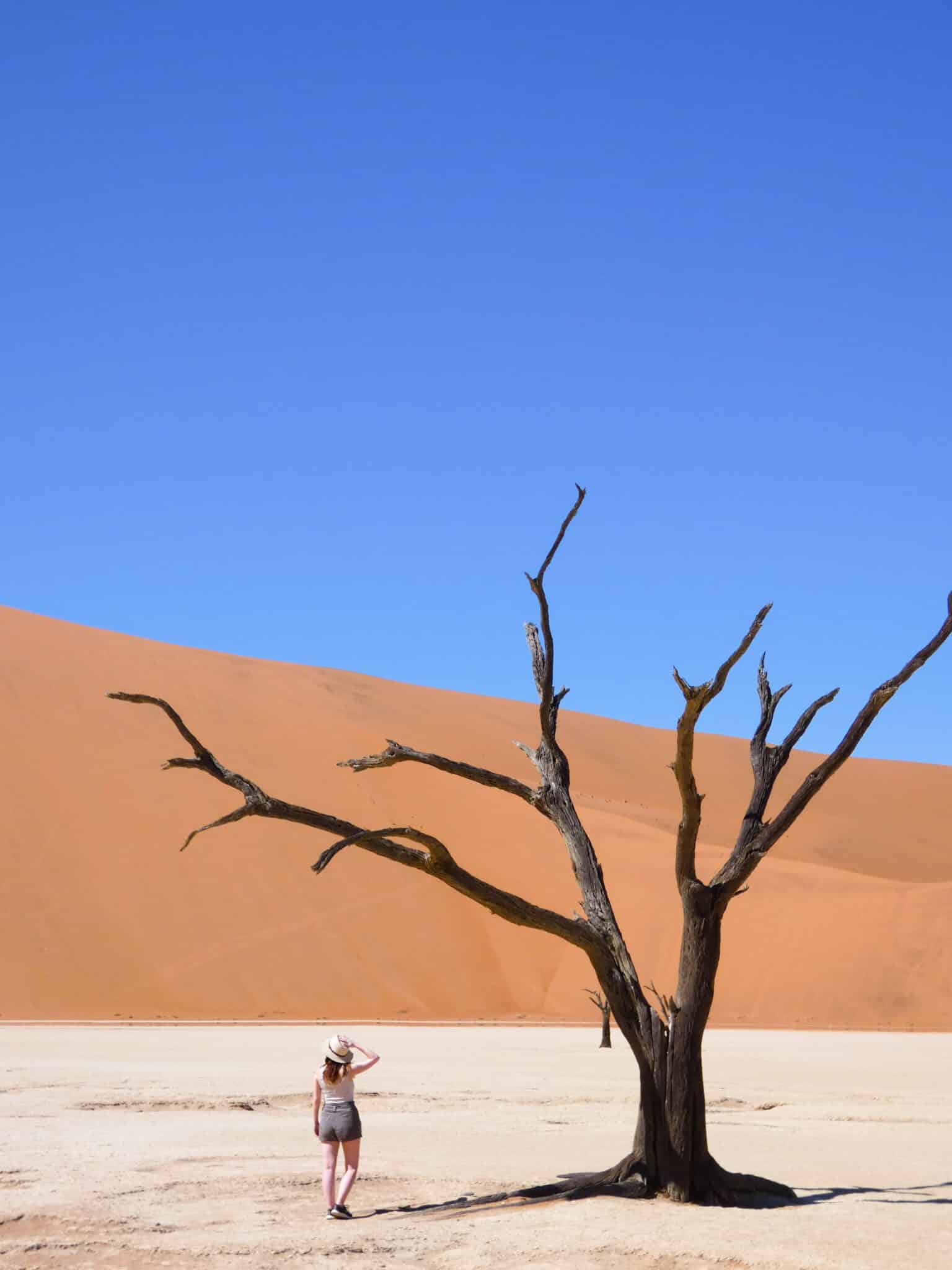 Liz from Mr and Mrs D Adventures in front of a tree in the Deadvlei salt pan on a Namibia road trip.