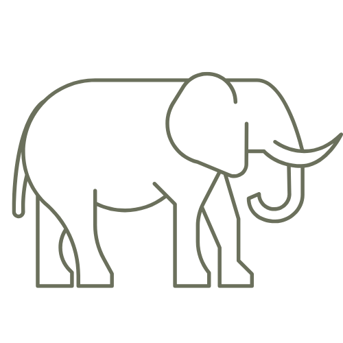 A green icon outline of an elephant