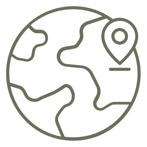 A globe icon with a location pin